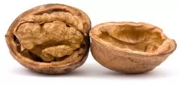 продажба на фиданки за различи сортове орехи